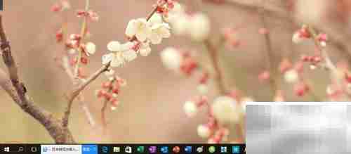 IE浏览器加载项设置方法