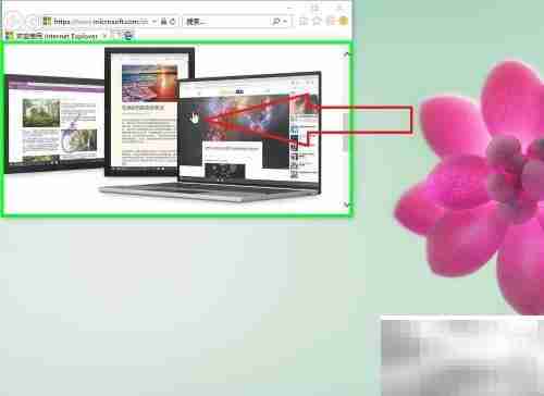 IE浏览器图片下载方法