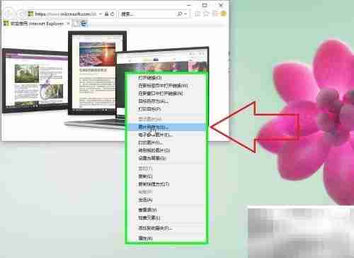 IE浏览器图片下载方法