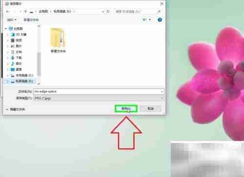 IE浏览器图片下载方法