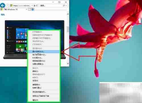 IE浏览器图片下载方法