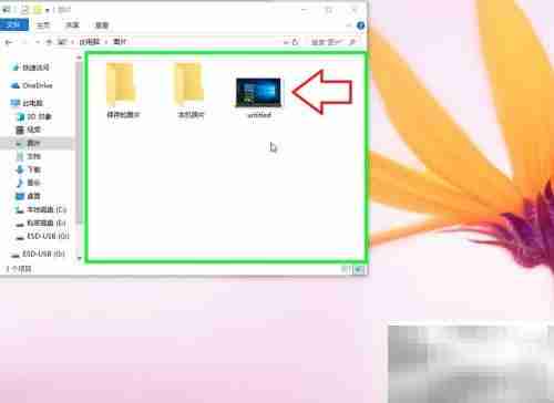 IE浏览器图片下载方法