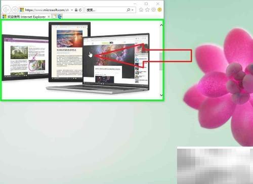 IE浏览器怎么下载图片？