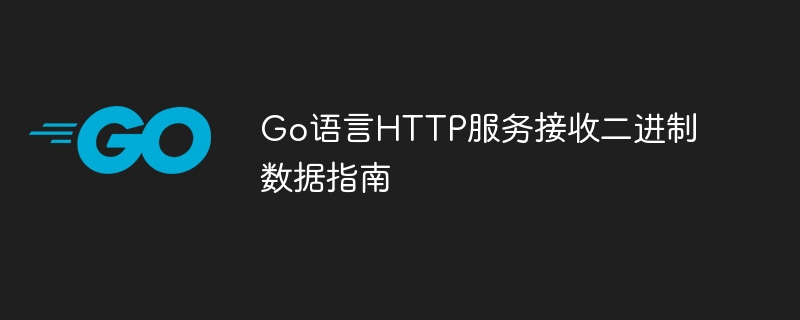Go语言接收二进制数据实战指南