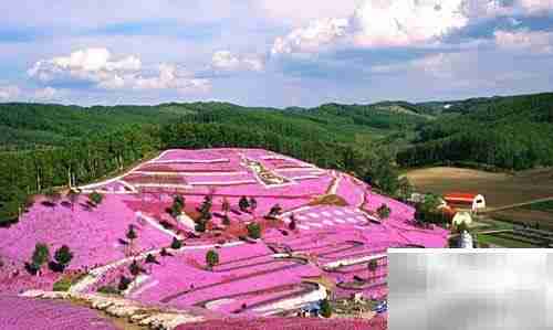 日本雅虎开店指南