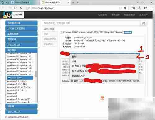 虚拟机安装Win2000指南