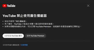 如何在YouTube中使用广告拦截器