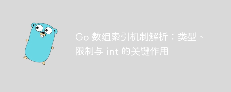 Go数组索引机制与int用途详解