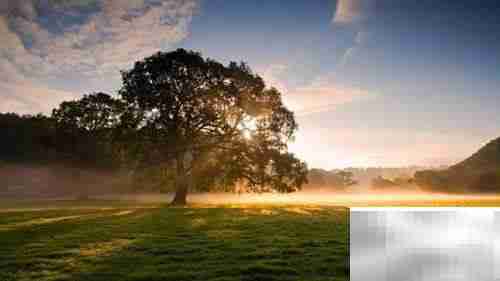 女生英文名取名技巧