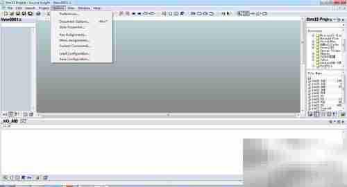 Source Insight字体大小设置