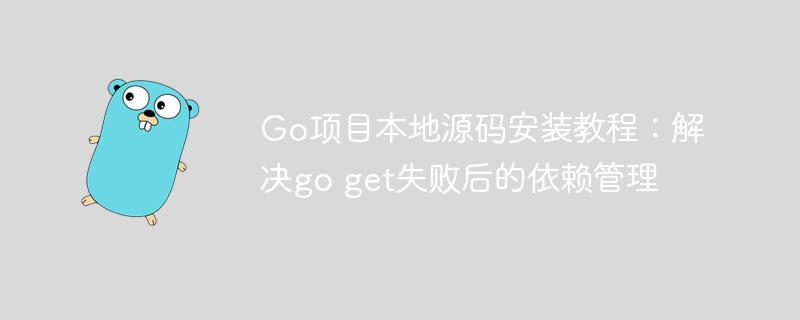 Go项目本地安装教程：解决goget失败依赖问题