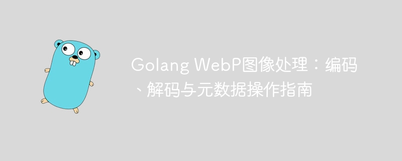 Golang处理WebP：编码解码与元数据操作教程