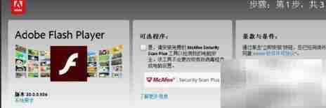 Win10安装Flash修复器指南