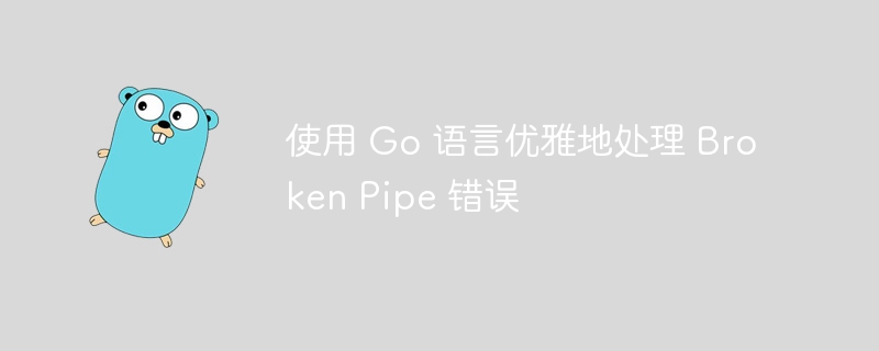 Go中如何优雅处理BrokenPipe问题