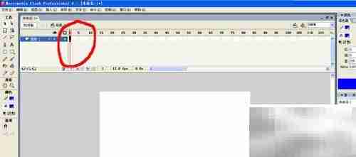 Flash动画制作入门技巧