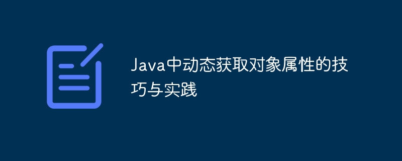 Java中动态获取对象属性的技巧与实践
