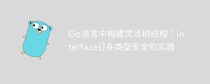 Go语言interface{}与类型安全技巧解析