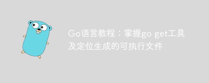 Go语言教程：goget使用与执行路径解析