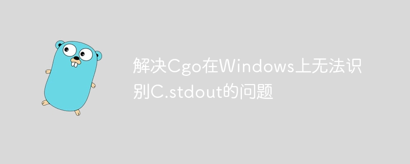 解决Cgo在Windows上无法识别C.stdout的问题
