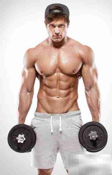 BMI与WHR计算方法解析