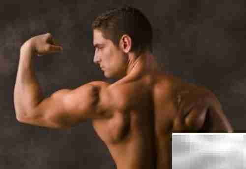 BMI与WHR计算方法解析