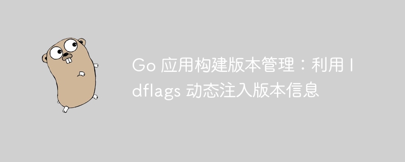 Go 应用构建版本管理：利用 ldflags 动态注入版本信息
