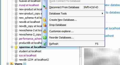 Maestro关闭数据库连接方法