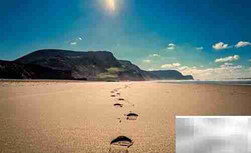 做好基层党建的五大关键