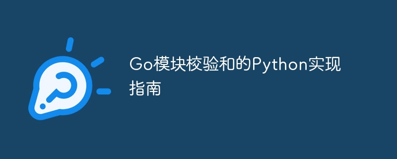 Go模块校验和的Python实现指南

