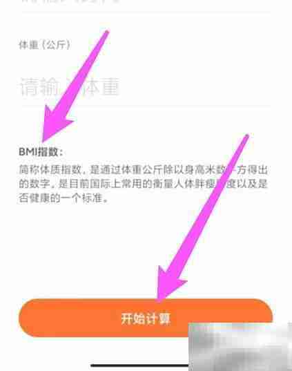 女生BMI计算方法详解