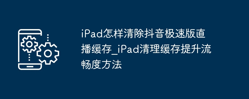 iPad清理抖音极速版直播缓存技巧