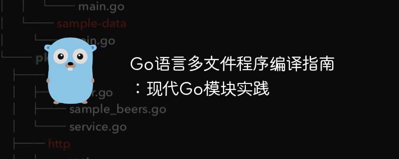 Go多文件编译技巧：模块化开发教程