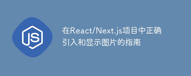 React/Next.js图片正确引入方法详解