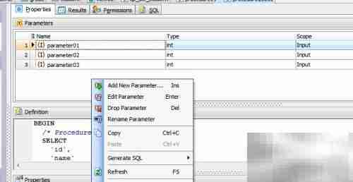 Maestro存储过程参数添加指南