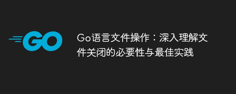 Go语言文件操作：深入理解文件关闭的必要性与最佳实践

