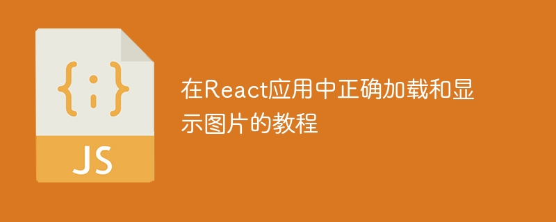 在React应用中正确加载和显示图片的教程