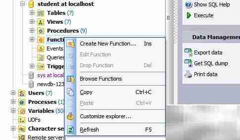 Maestro函数添加指南