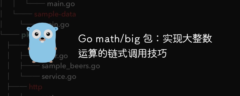 Go math/big 包：实现大整数运算的链式调用技巧
