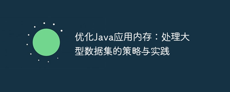 优化Java应用内存：处理大型数据集的策略与实践