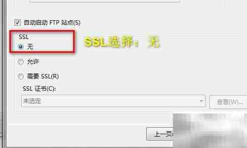 Windows搭建FTP服务指南