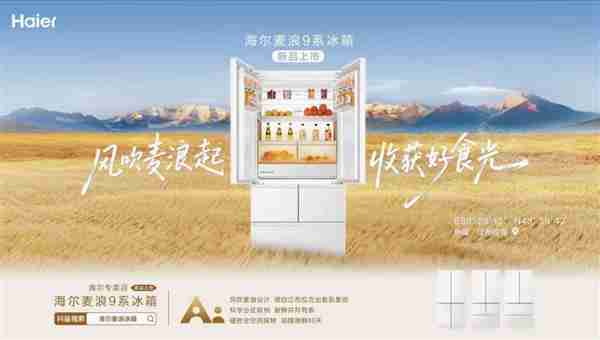 海尔冰箱H1：一个麦浪系列抵一个企业