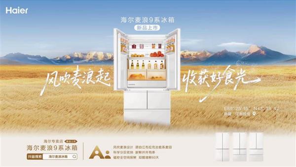 海尔麦浪冰箱H1：一机顶多，实力出众