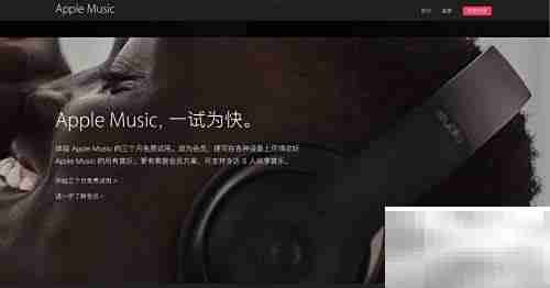 Apple Music使用入门指南