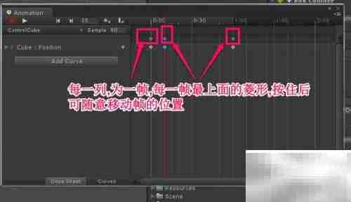 动画制作:掌握播放速度与倒序技巧