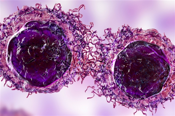 网红Coser若童因肠癌离世，年仅32岁
