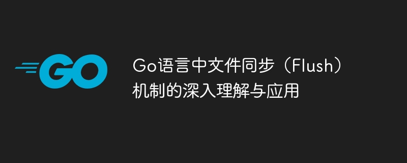 Go语言文件Flush机制全解析