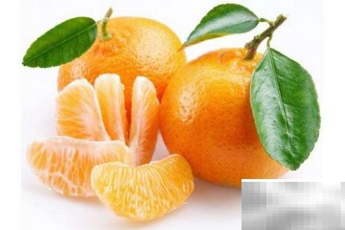 碱性食物清单大全推荐