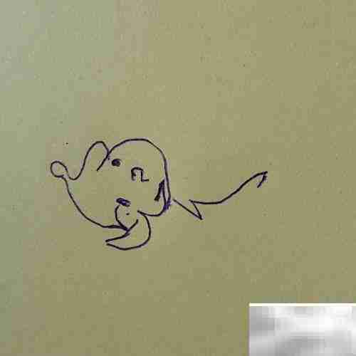 儿童简笔画：可爱小精灵