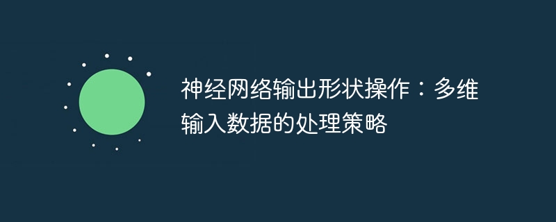 多维数据处理：神经网络输出形状详解