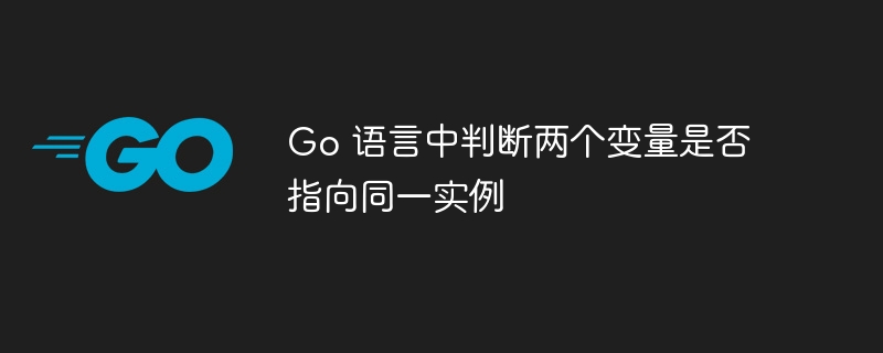 Go 语言中判断两个变量是否指向同一实例
